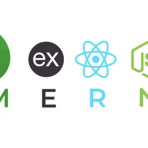 MERN Stack Web Development